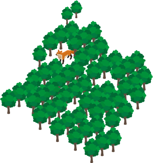 forest_1