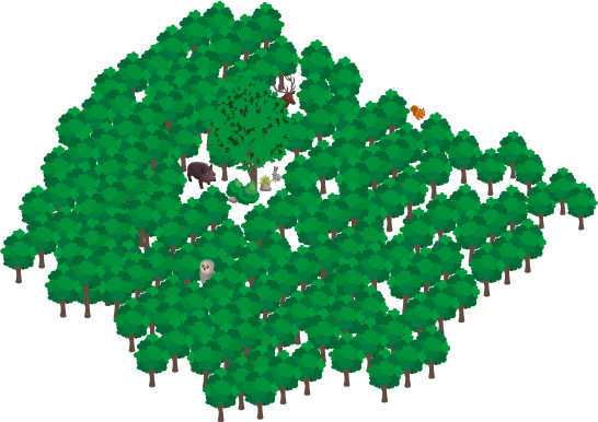 forest_2