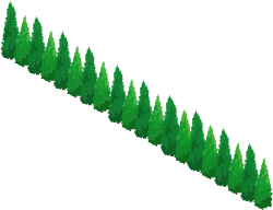 wood_2