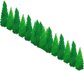 wood_5