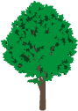 wood_6